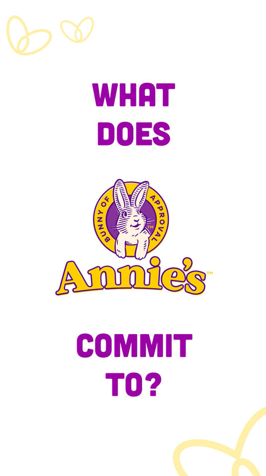Annie's “The “What we Do” Sustainability Campaign” Creative Pitch (For Design Studio III) (Collaboration with Samuel Marez), (Adobe Illustrator and Adobe After Effects, 2023)